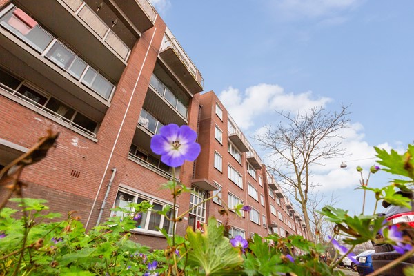 Chestertonlaan 52_25.jpg